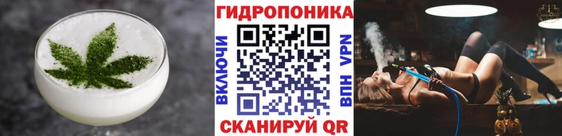 Canna-Cookies марихуана  продажа наркотиков  Елабуга 