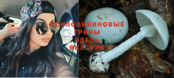 меф Горнозаводск