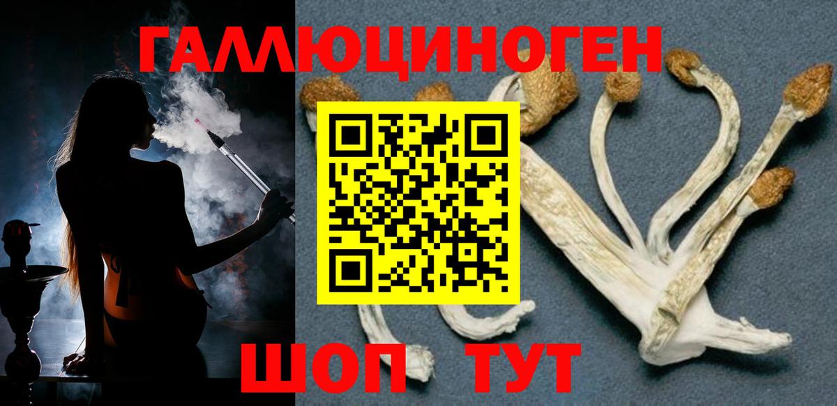 Галлюциногенные грибы GOLDEN TEACHER  Галлюциногенные грибы прущие грибы  Елабуга 