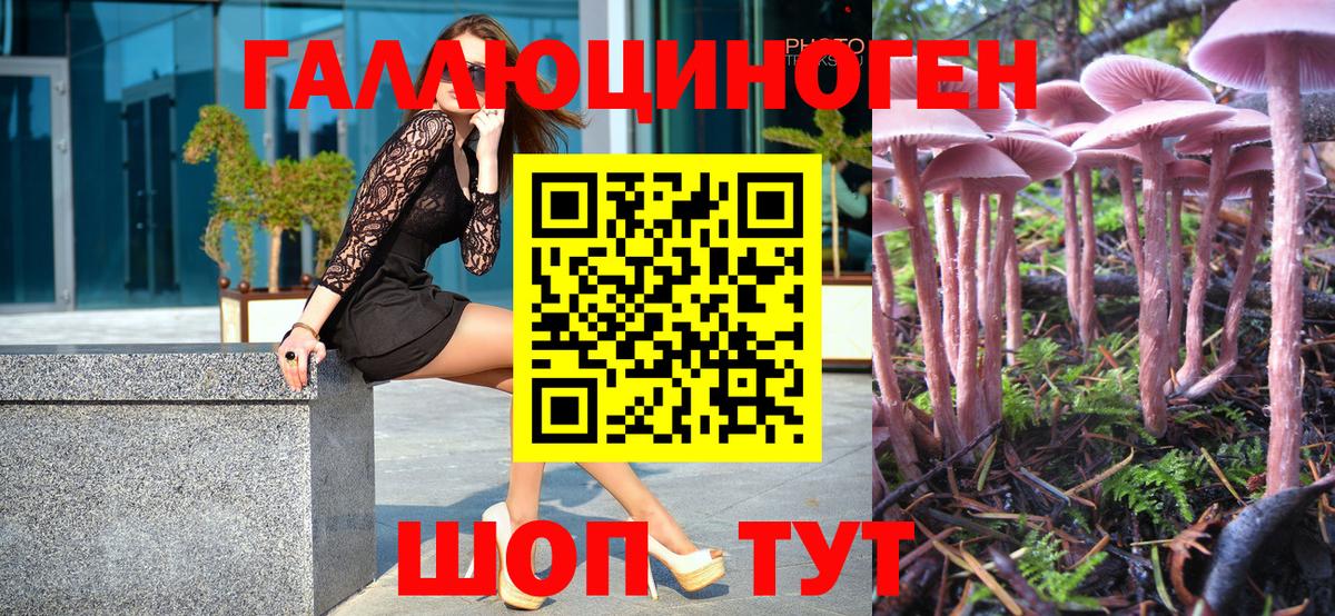 Галлюциногенные грибы Psilocybe Елабуга