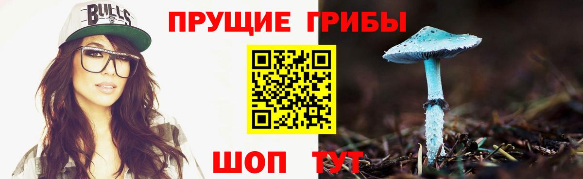 Псилоцибиновые грибы Magic Shrooms  наркошоп  Вход с VPN  Елабуга  Галлюциногенные грибы ЛСД 